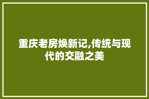 重庆老房焕新记,传统与现代的交融之美