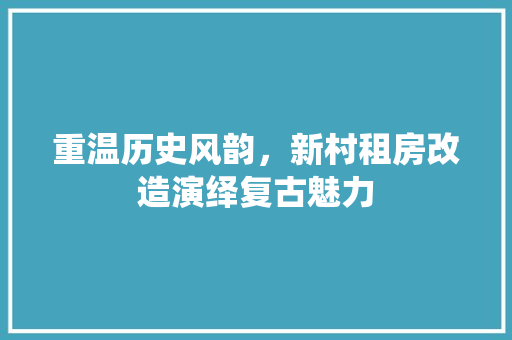 重温历史风韵，新村租房改造演绎复古魅力