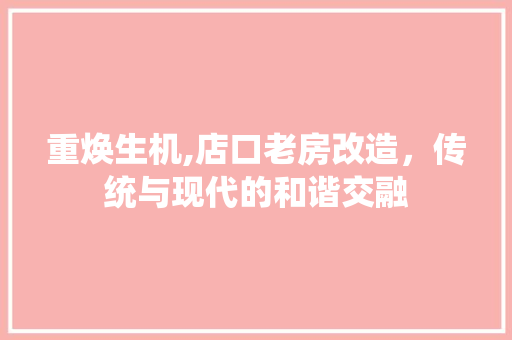重焕生机,店口老房改造，传统与现代的和谐交融