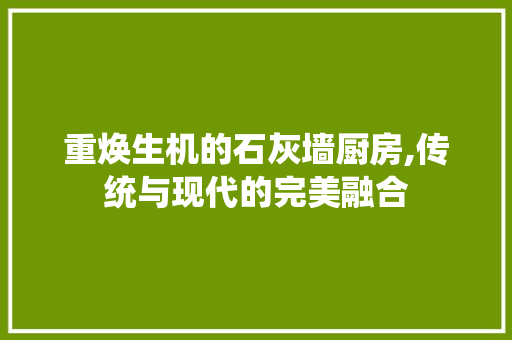 重焕生机的石灰墙厨房,传统与现代的完美融合