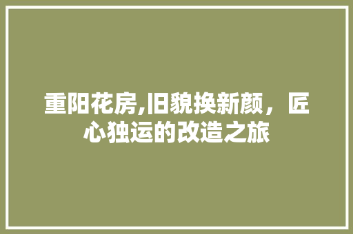 重阳花房,旧貌换新颜，匠心独运的改造之旅