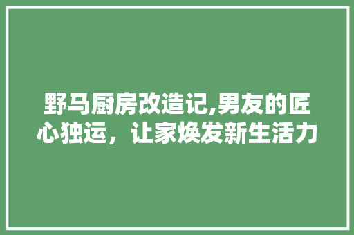 野马厨房改造记,男友的匠心独运，让家焕发新生活力