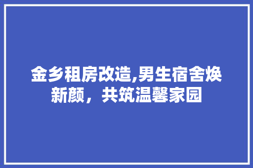 金乡租房改造,男生宿舍焕新颜，共筑温馨家园