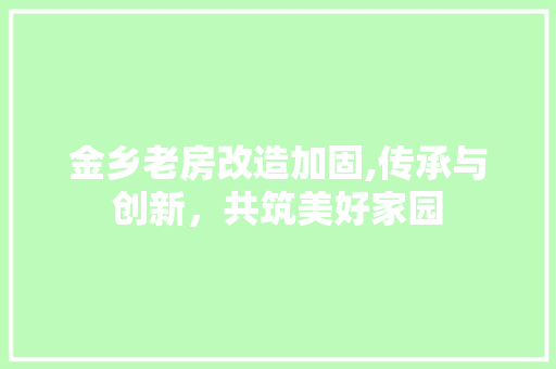 金乡老房改造加固,传承与创新，共筑美好家园