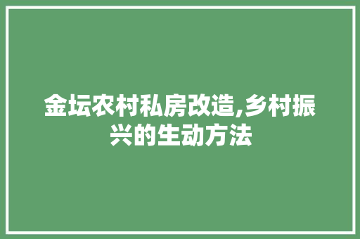 金坛农村私房改造,乡村振兴的生动方法 家电维修
