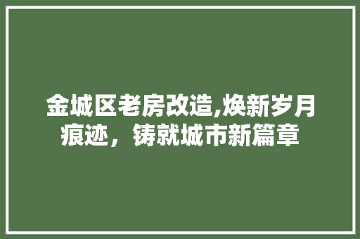 金城区老房改造,焕新岁月痕迹，铸就城市新篇章
