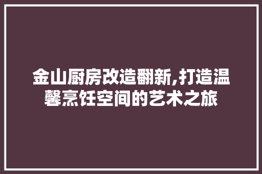 金山厨房改造翻新,打造温馨烹饪空间的艺术之旅 厨房维修