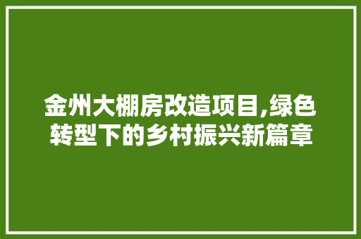 金州大棚房改造项目,绿色转型下的乡村振兴新篇章 墙体维修