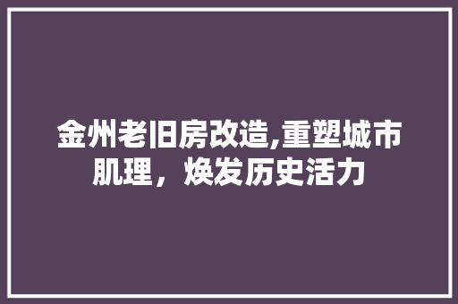 金州老旧房改造,重塑城市肌理，焕发历史活力 家电维修