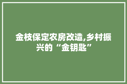 金枝保定农房改造,乡村振兴的“金钥匙”