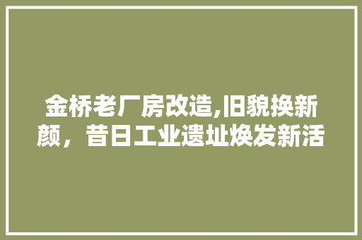 金桥老厂房改造,旧貌换新颜，昔日工业遗址焕发新活力