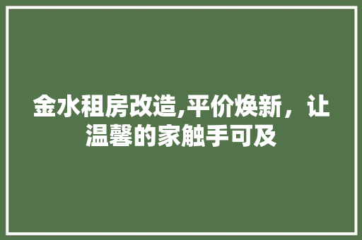 金水租房改造,平价焕新，让温馨的家触手可及