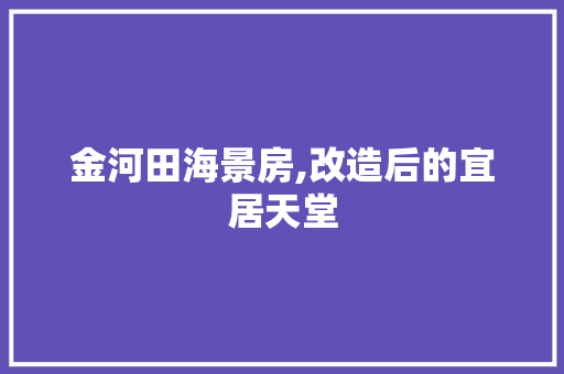 金河田海景房,改造后的宜居天堂