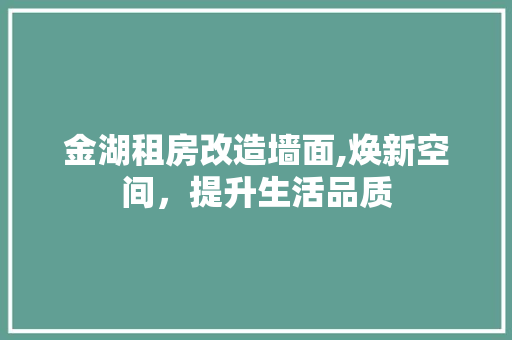 金湖租房改造墙面,焕新空间，提升生活品质