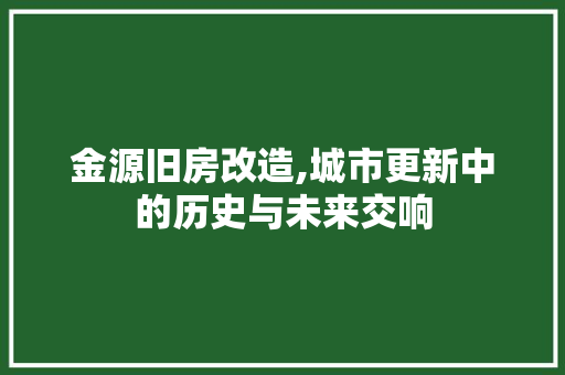 金源旧房改造,城市更新中的历史与未来交响