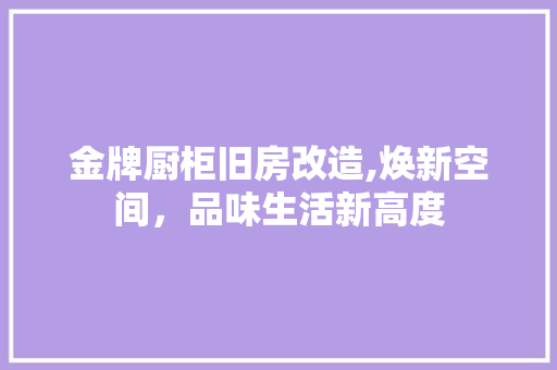 金牌厨柜旧房改造,焕新空间，品味生活新高度