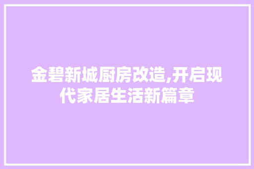 金碧新城厨房改造,开启现代家居生活新篇章