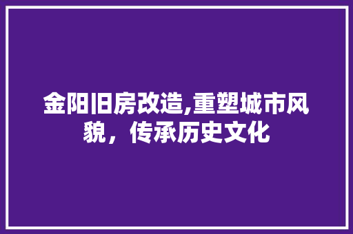 金阳旧房改造,重塑城市风貌，传承历史文化