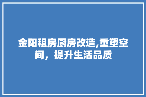 金阳租房厨房改造,重塑空间，提升生活品质