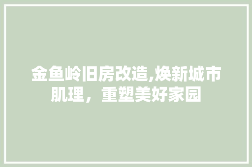 金鱼岭旧房改造,焕新城市肌理，重塑美好家园
