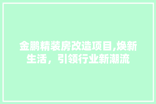 金鹏精装房改造项目,焕新生活，引领行业新潮流