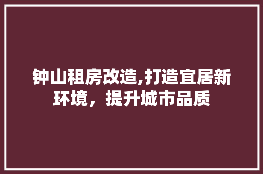 钟山租房改造,打造宜居新环境，提升城市品质