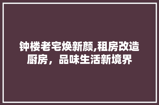 钟楼老宅焕新颜,租房改造厨房，品味生活新境界