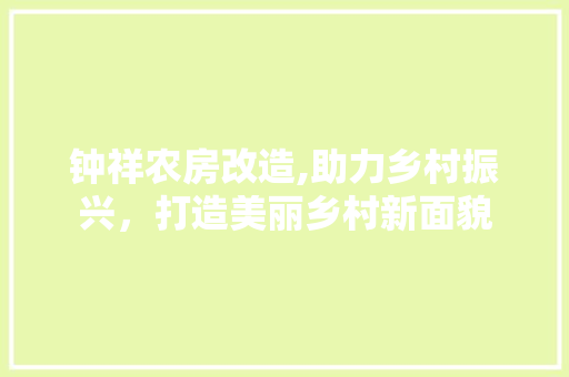 钟祥农房改造,助力乡村振兴，打造美丽乡村新面貌