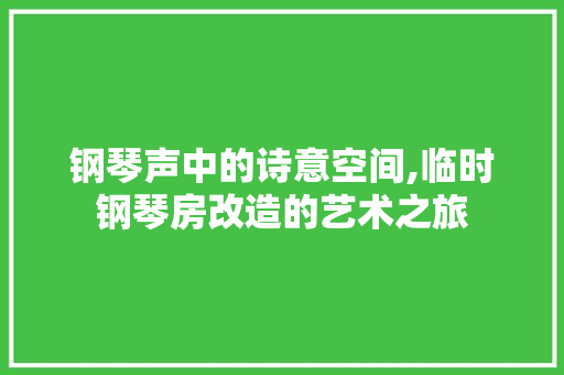 钢琴声中的诗意空间,临时钢琴房改造的艺术之旅