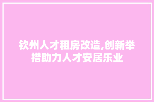 钦州人才租房改造,创新举措助力人才安居乐业