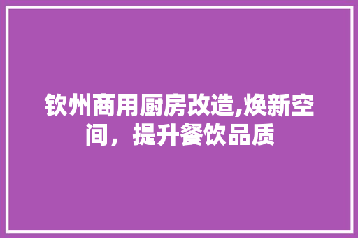 钦州商用厨房改造,焕新空间，提升餐饮品质
