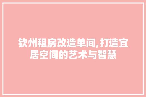 钦州租房改造单间,打造宜居空间的艺术与智慧