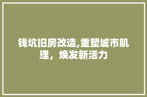 钱坑旧房改造,重塑城市肌理，焕发新活力