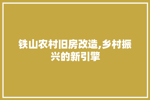 铁山农村旧房改造,乡村振兴的新引擎