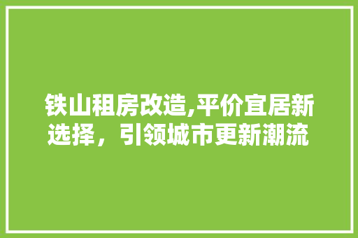铁山租房改造,平价宜居新选择，引领城市更新潮流