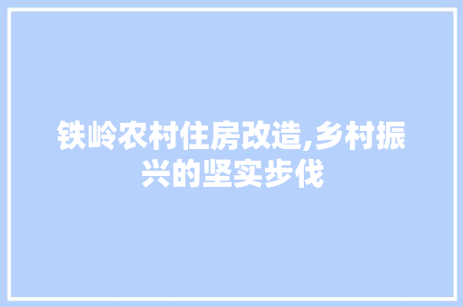 铁岭农村住房改造,乡村振兴的坚实步伐