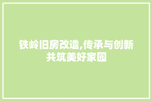 铁岭旧房改造,传承与创新共筑美好家园