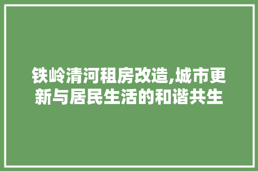 铁岭清河租房改造,城市更新与居民生活的和谐共生