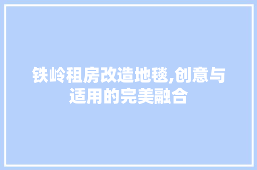 铁岭租房改造地毯,创意与适用的完美融合