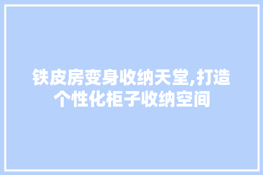 铁皮房变身收纳天堂,打造个性化柜子收纳空间 厨房维修