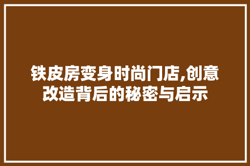 铁皮房变身时尚门店,创意改造背后的秘密与启示