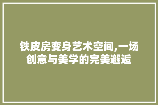 铁皮房变身艺术空间,一场创意与美学的完美邂逅