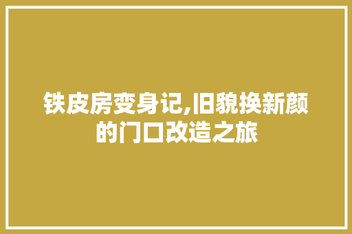 铁皮房变身记,旧貌换新颜的门口改造之旅