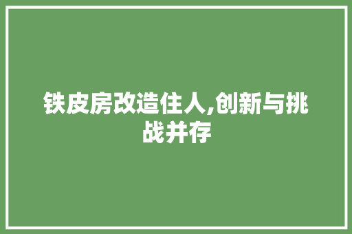 铁皮房改造住人,创新与挑战并存