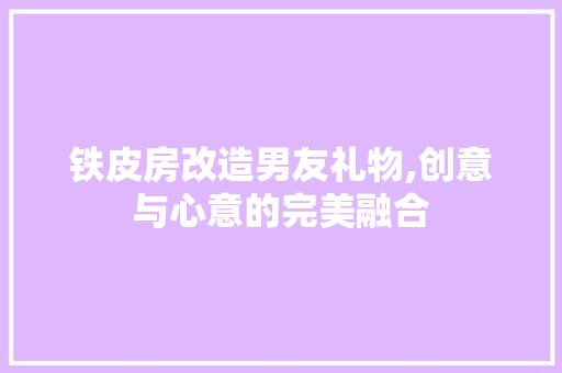 铁皮房改造男友礼物,创意与心意的完美融合
