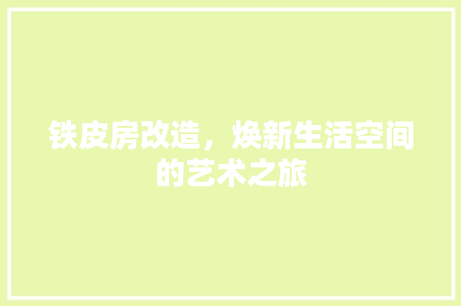 铁皮房改造，焕新生活空间的艺术之旅