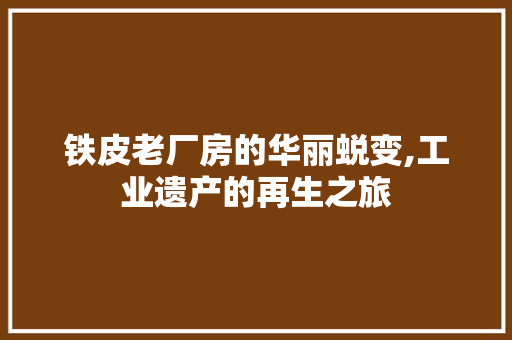 铁皮老厂房的华丽蜕变,工业遗产的再生之旅