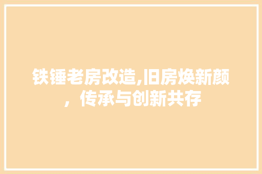 铁锤老房改造,旧房焕新颜，传承与创新共存