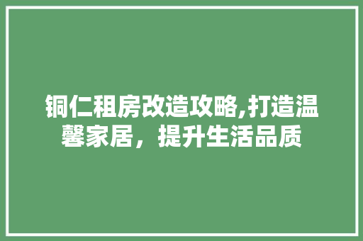 铜仁租房改造攻略,打造温馨家居，提升生活品质