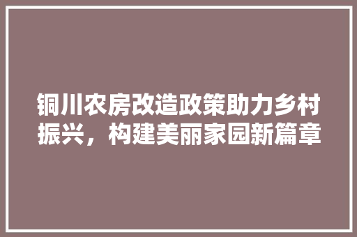 铜川农房改造政策助力乡村振兴，构建美丽家园新篇章